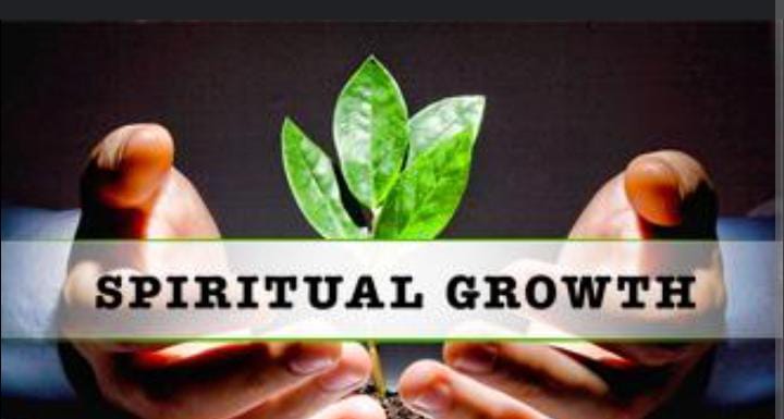 An image of a growing plant used as a metaphor to describe spiritual growth.